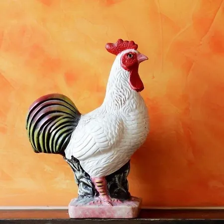 Hotel Goldener Hahn Duisburg