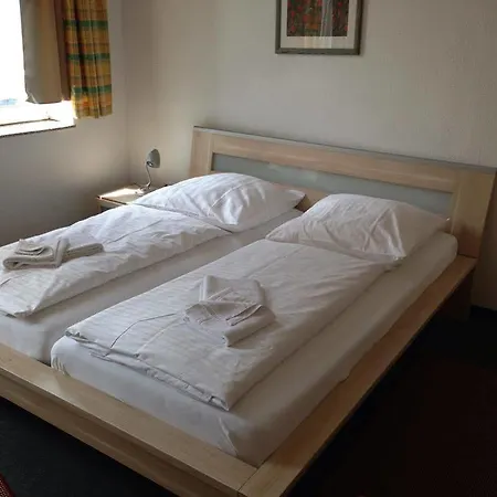 فندق Goldener Hahn 2*