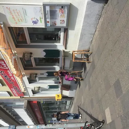 호텔 골데너 한 2*