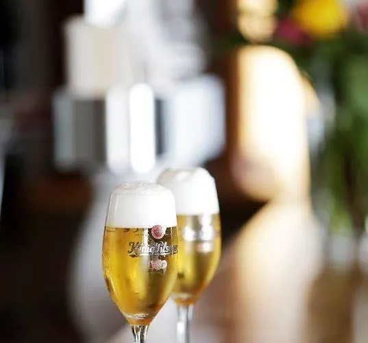 Goldener Hahn Hotel Duisburg