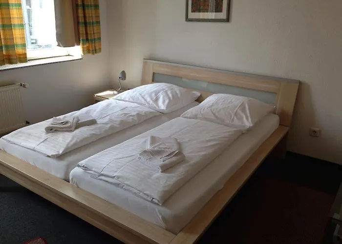 Hotel Goldener Hahn 2*