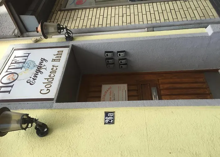 Hotel Goldener Hahn 2*