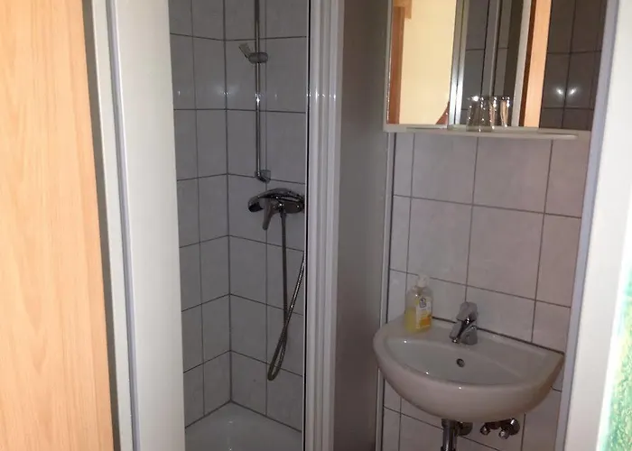 Hotel Goldener Hahn 2*