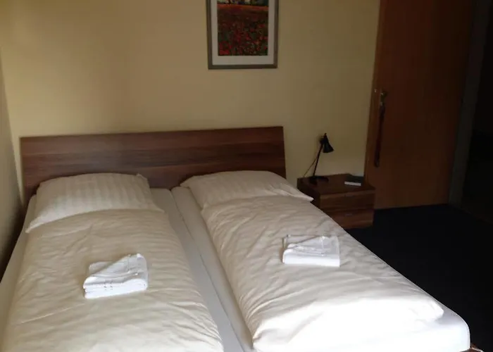 Goldener Hahn 2* דיסבורג